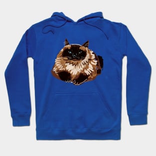 Sweet blue eyed Himalayan Cat Hoodie